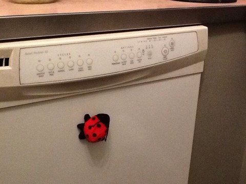 ladybug magnet