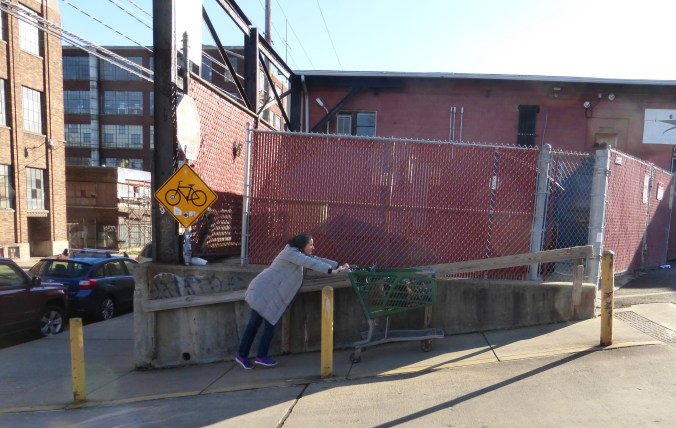 Becca pushing shopping cart up 30-degree slope