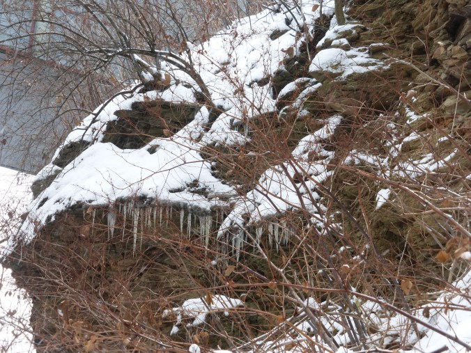 Forbes Avenue below Duquesne University