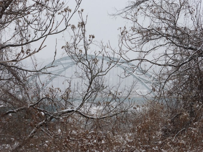 Birmingham Bridge through trees
