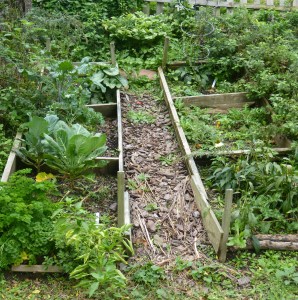 vegetable garden