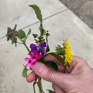 bouquet of wildflowers