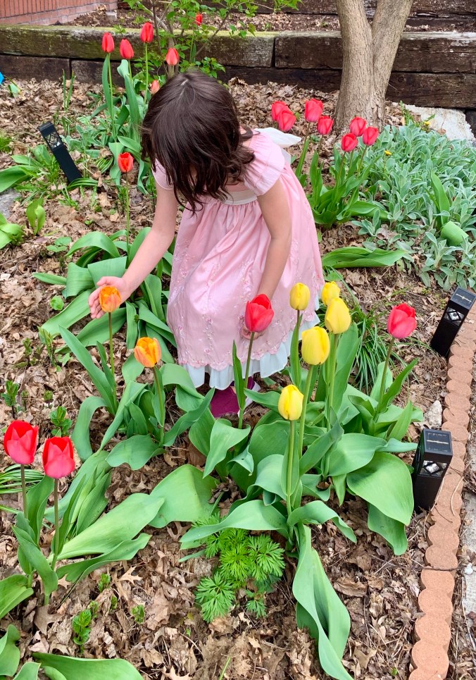 Lydia in her Easter dress amid tulips