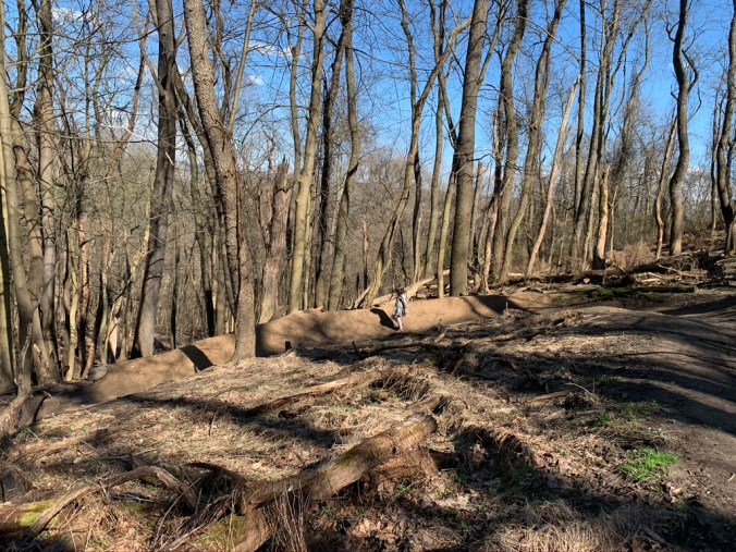 347D8995-9D21-4CE5-9E9C-0832E06B2565_1_105_c