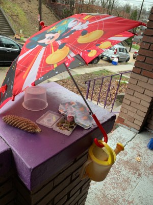 a Mickey Mouse umbrella is opened onto a porch pillar; a plastic watering can dangles by its handle from the umbrella handle; under the umbrella, a small pink toy bunny with a flannel hanky draped over its shoulders appears to be eating leaves placed in the plastic box from a deck of playing cards; a pine cone and a take-out soup bucket also are present
