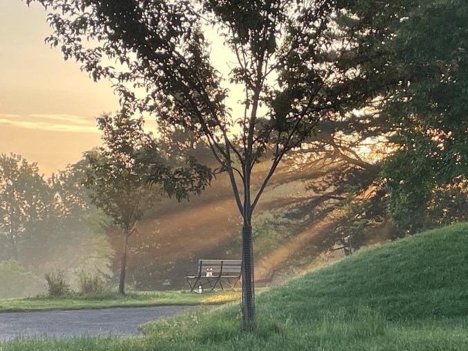 2E7DEB36-CA5B-4E28-BCEC-BDBC10B5659E_1_201_a