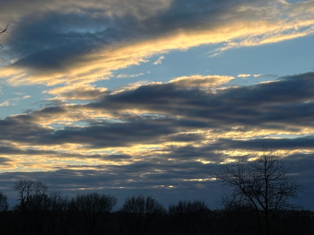 Twilight winter sky: bands of bright and dark clouds with some blue above.  Treetops along the horizon.